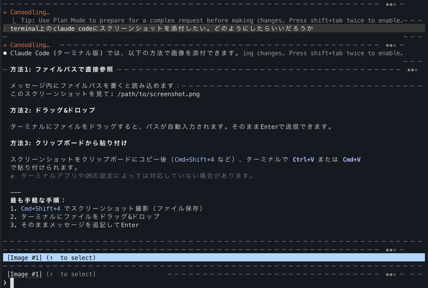 itermで画像を貼り付けたあとのスクリーンショット。[image 1]と表示されている。